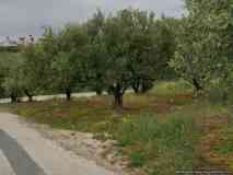 ΑΓΙΟΣ ΙΩΑΝΝΗΣ ΚΝΩΣΟΥ ΟΙΚΟΠΕΔΟ 894ΤΜ ΠΩΛΗΣΗΣ